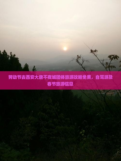 劳动节去西安大唐不夜城团体旅游