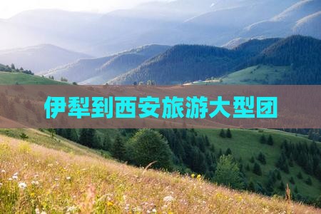 伊犁哈萨克到西安钟楼大型旅游团