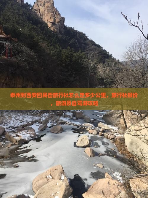 泰州到西安回民街旅行社