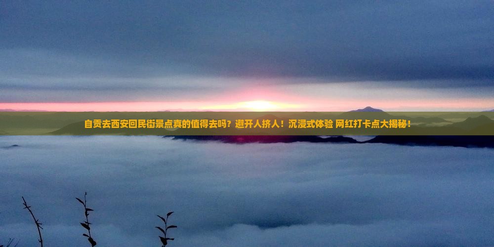 自贡去西安回民街景点