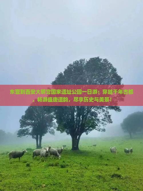 东营到西安大明宫国家遗址公园一日游