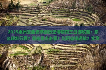 惠州去西安陕西历史博物馆三日游