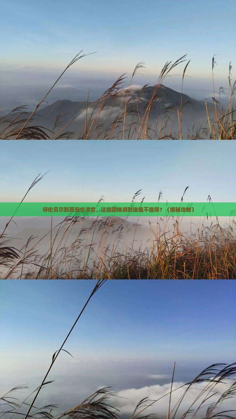 呼伦贝尔到西安华清宫团体旅游