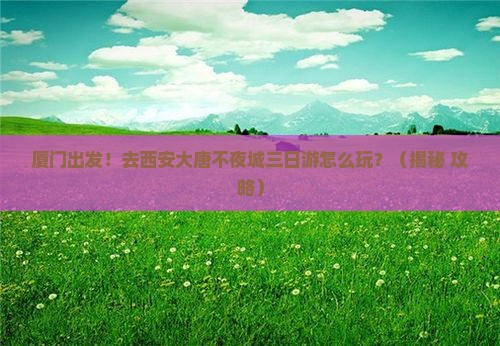 厦门去西安大唐不夜城三日游