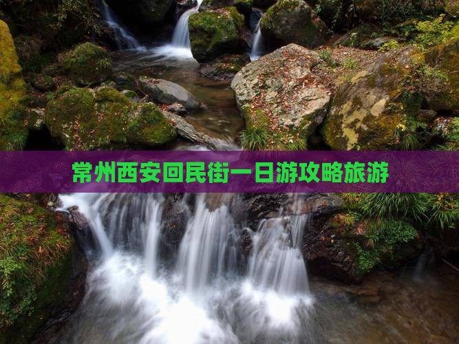 常州去西安回民街一日游
