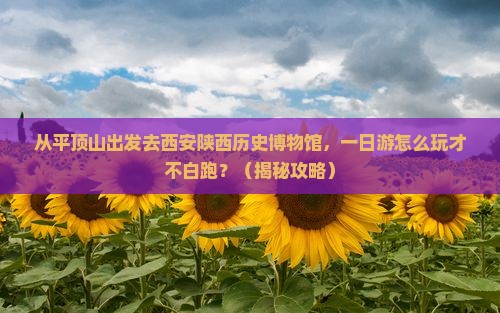 平顶山去西安陕西历史博物馆一日游