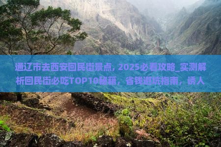 通辽市去西安回民街景点