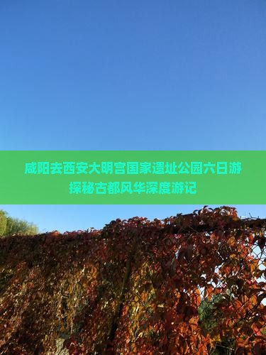 咸阳去西安大明宫国家遗址公园六日游