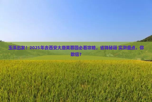 玉溪去西安大唐芙蓉园旅游