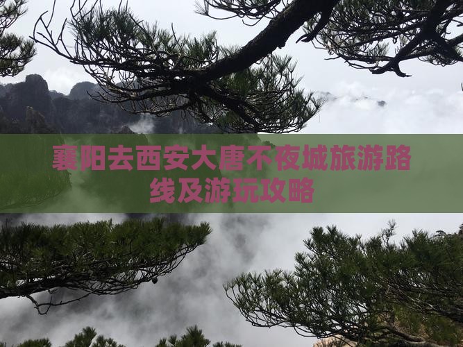 襄阳去西安大唐不夜城旅游