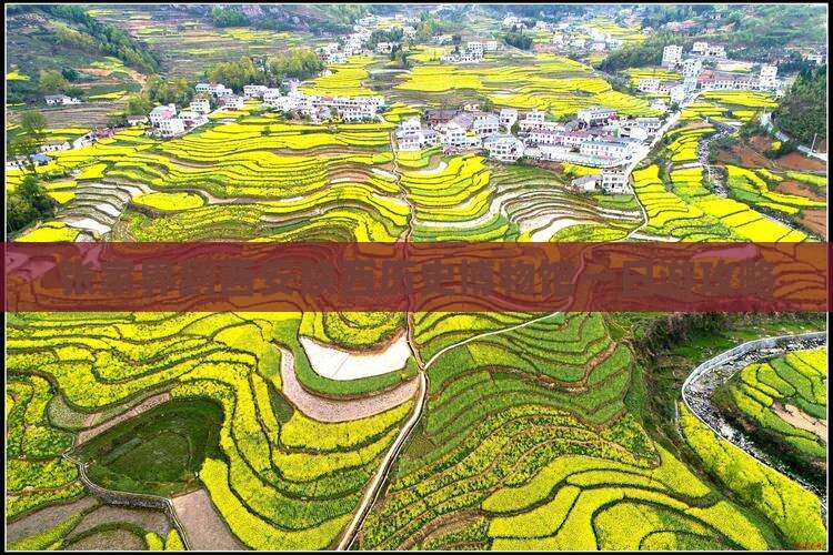 张家界去西安陕西历史博物馆一日游
