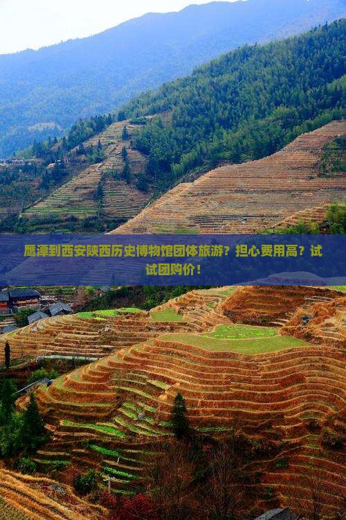 鹰潭到西安陕西历史博物馆团体旅游