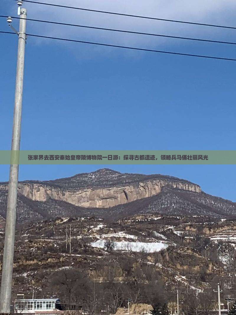 张家界去西安秦始皇帝陵博物院一日游