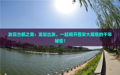 龙岩到西安大雁塔旅行社