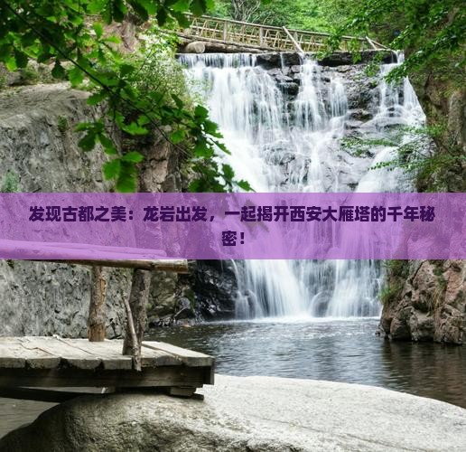 龙岩到西安大雁塔旅行社