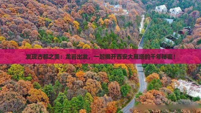 龙岩到西安大雁塔旅行社