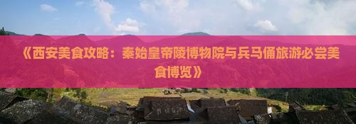 冬天到西安秦始皇帝陵博物院旅游小吃