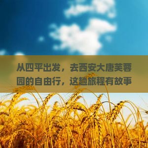 四平到西安大唐芙蓉园自由团