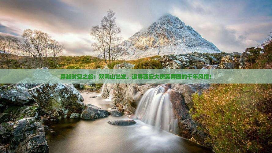 双鸭山到西安大唐芙蓉园自由行