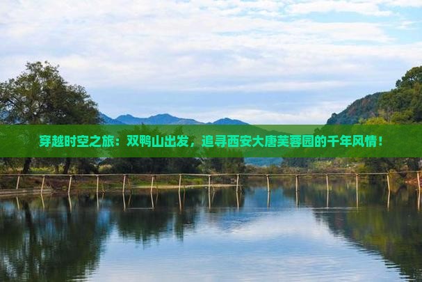 双鸭山到西安大唐芙蓉园自由行