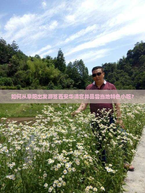 阜阳去西安华清宫旅游小吃