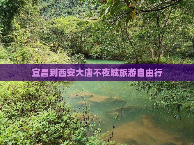 宜昌到西安大唐不夜城自由团