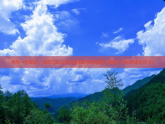 周口去西安回民街必去地
