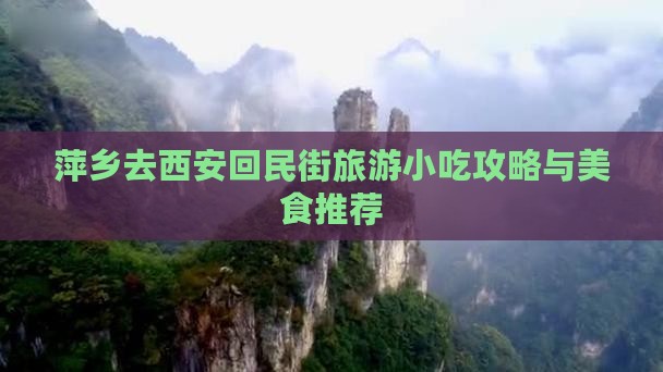 萍乡去西安回民街旅游小吃