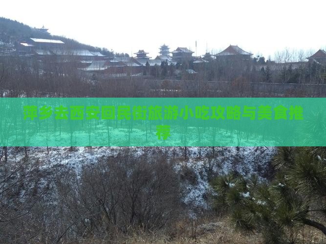 萍乡去西安回民街旅游小吃