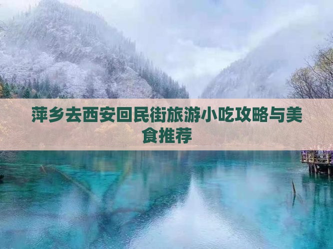 萍乡去西安回民街旅游小吃