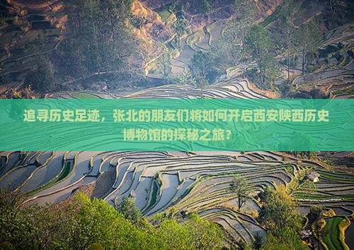 张北去西安陕西历史博物馆团体旅游