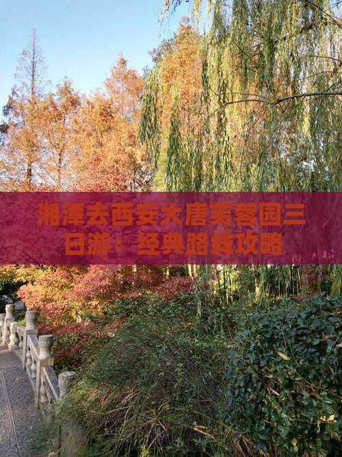 湘潭去西安大唐芙蓉园三日游