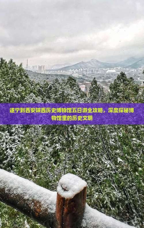 遂宁到西安陕西历史博物馆五日游