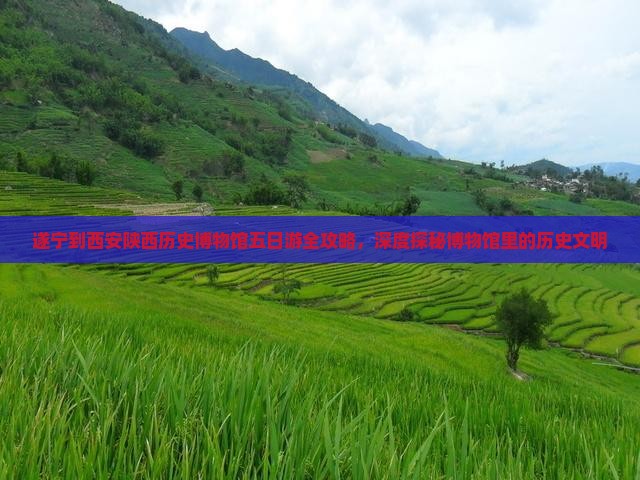 遂宁到西安陕西历史博物馆五日游