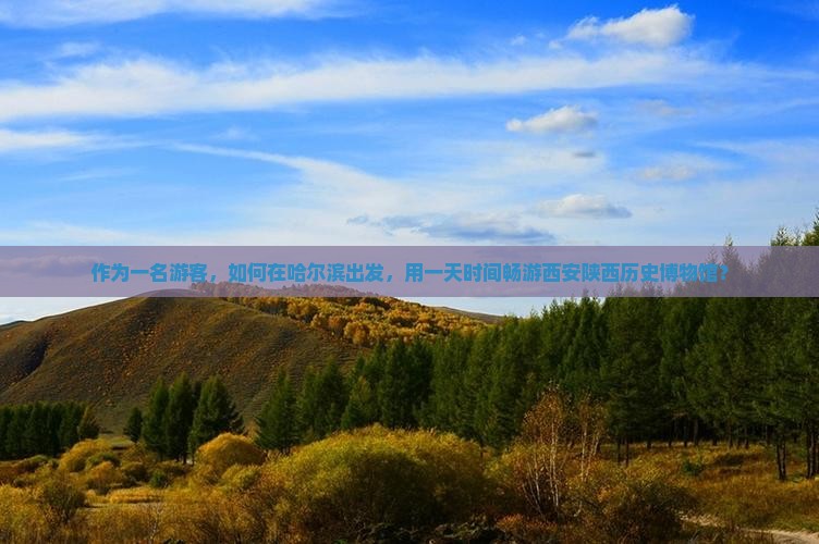 哈尔滨到西安陕西历史博物馆一日游