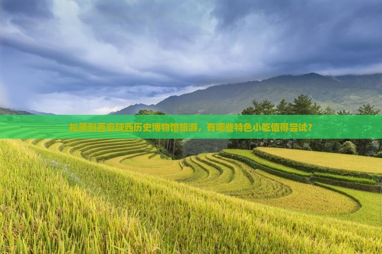 松原到西安陕西历史博物馆旅游小吃