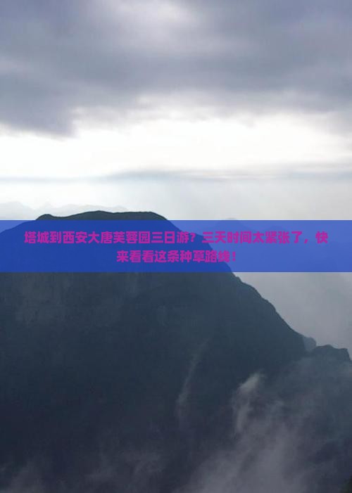 塔城到西安大唐芙蓉园三日游