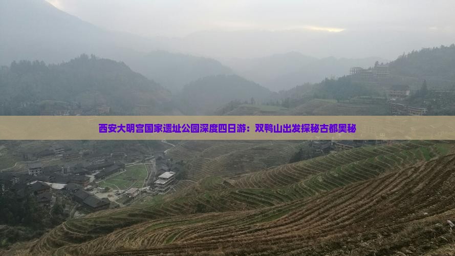 双鸭山到西安大明宫国家遗址公园四日游
