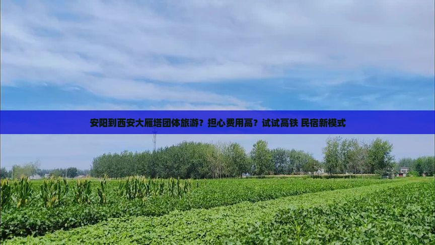 安阳到西安大雁塔团体旅游