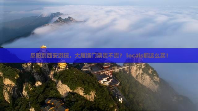 阜阳到西安大雁塔门票