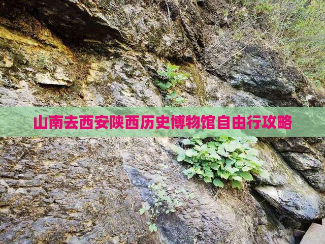 山南去西安陕西历史博物馆自由行