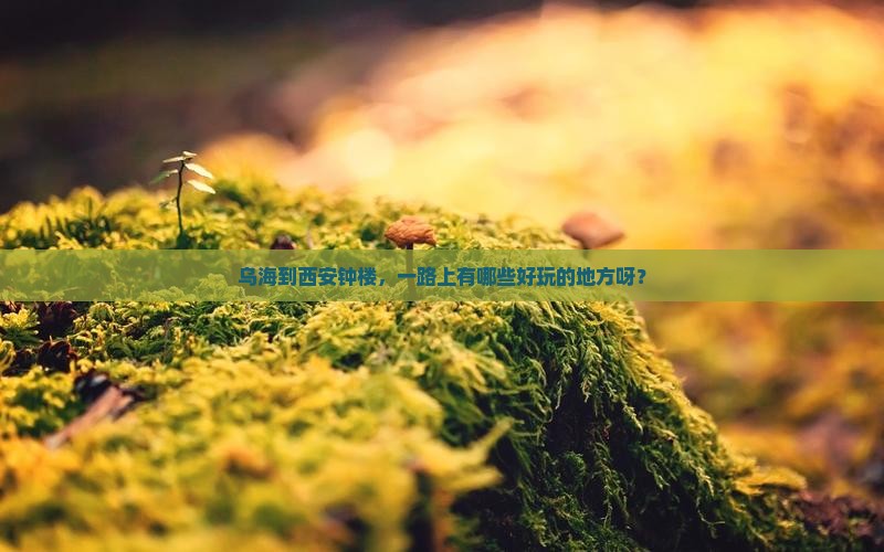 乌海到西安钟楼哪里玩