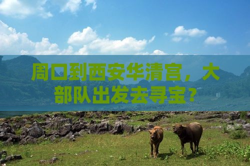 周口去西安华清宫大型旅游团