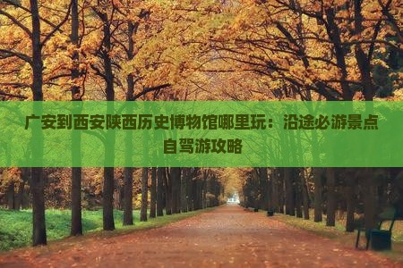 广安到西安陕西历史博物馆哪里玩