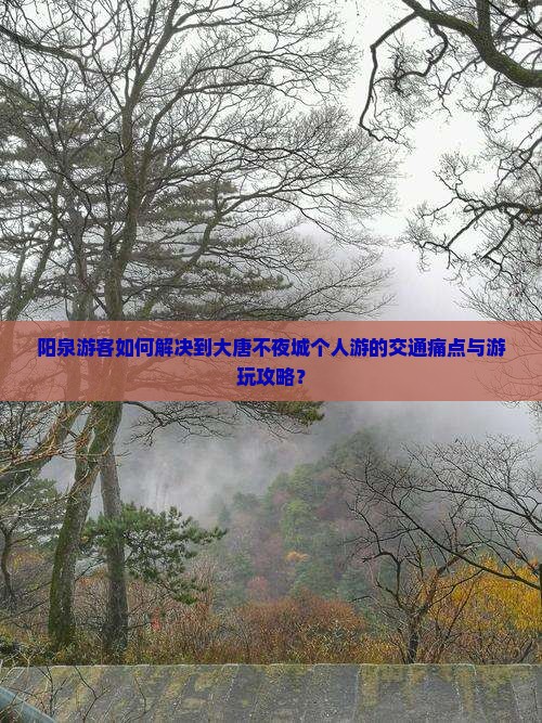 阳泉到西安大唐不夜城个人游 阳泉到西安大唐不夜城个人游