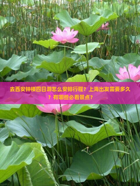 上海去西安钟楼四日游