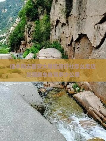 佳木斯去西安大雁塔旅行社