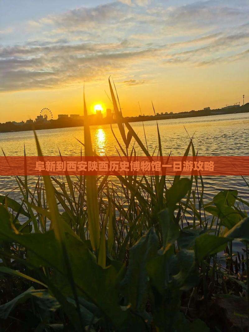 阜新到西安陕西历史博物馆一日游
