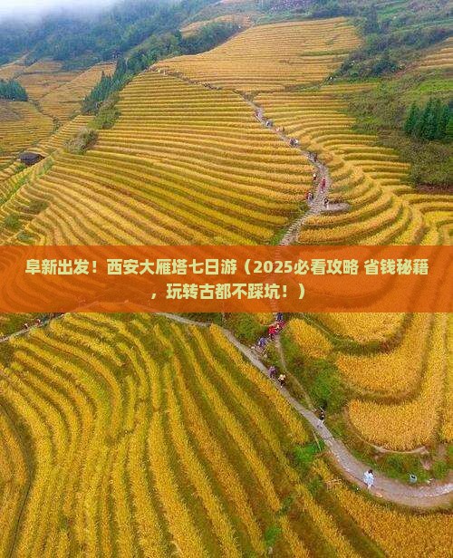 阜新到西安大雁塔七日游