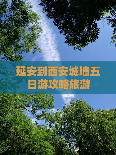 延安到西安城墙五日游